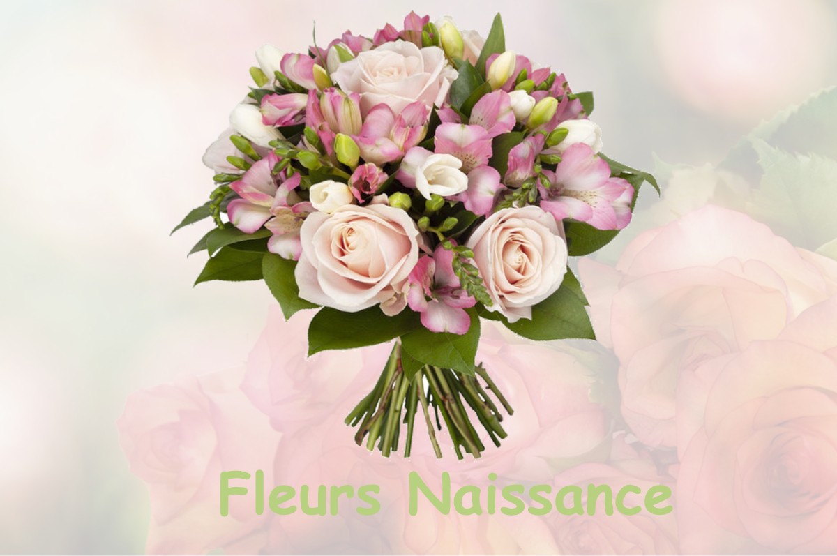 fleurs naissance BESNANS