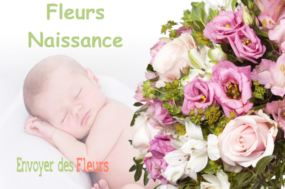 lIVRAISON FLEURS NAISSANCE à BESNANS