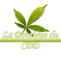 LA BOUTIQUE DU CBD BESNANS 